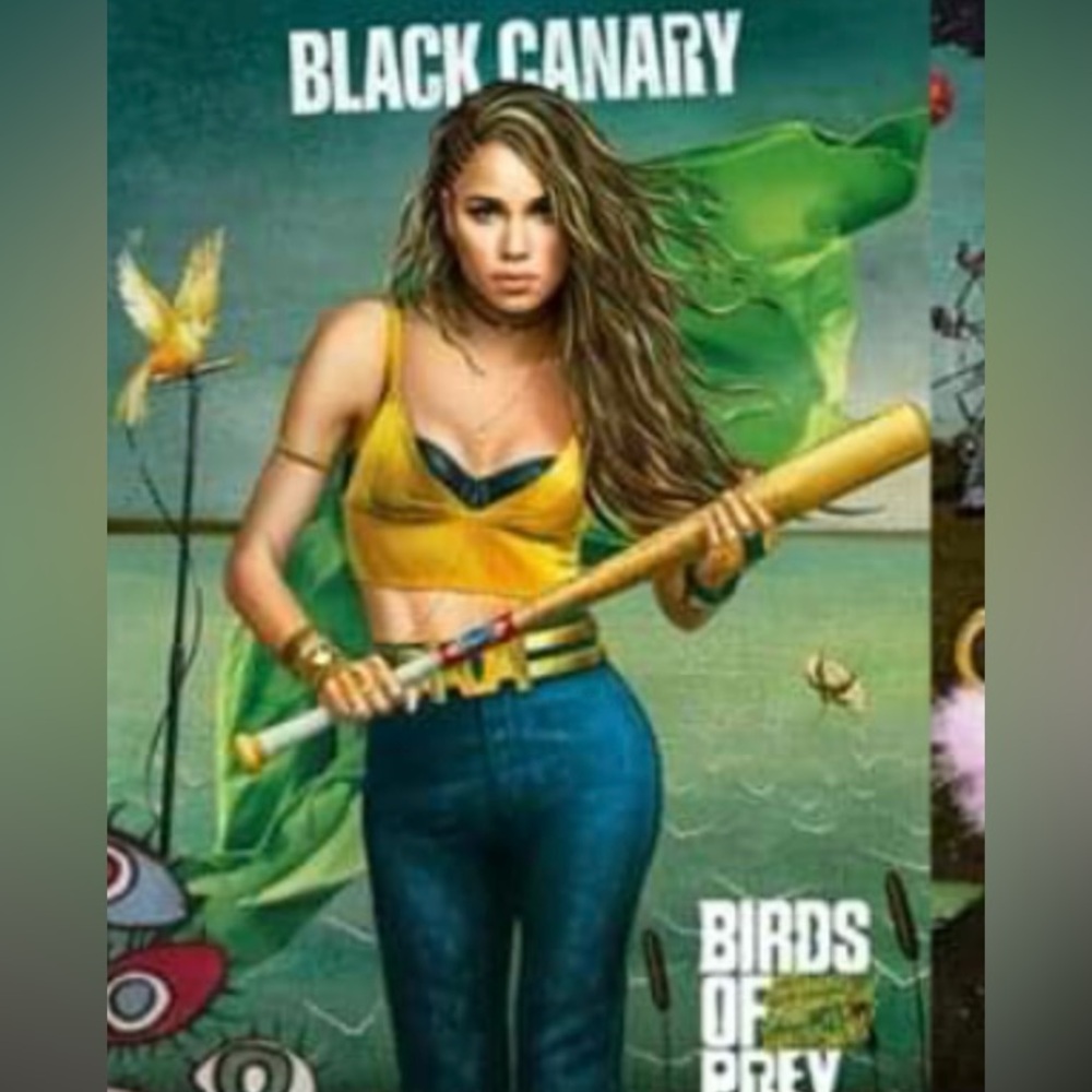Spirit Halloween Birds of Prey Black Canary Halloween Costume